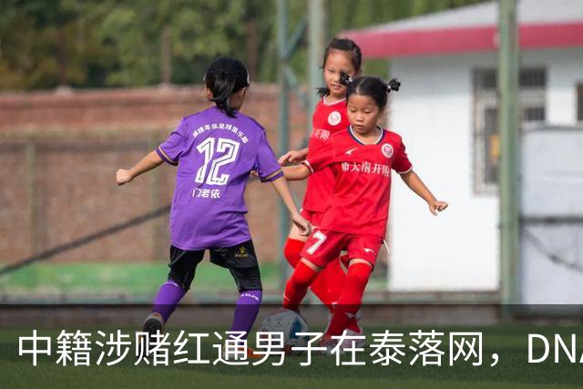 中籍涉赌红通男子在泰落网，DNA检测意外牵出新疑点
