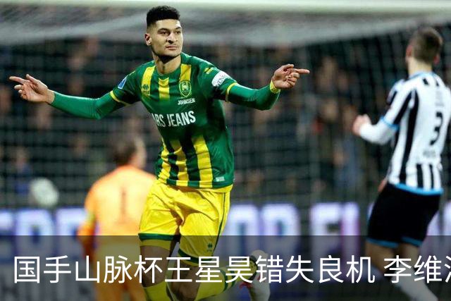 国手山脉杯王星昊错失良机 李维清三连胜将与申真谞争冠