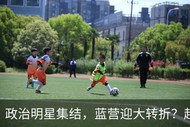 政治明星集结，蓝营迎大转折？赵少康担心遭清算，国台办官宣大事